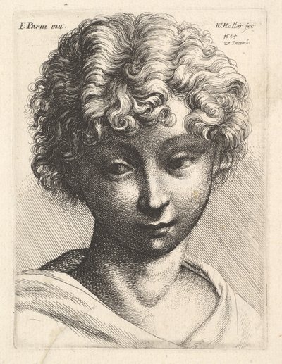 Hodet til en ung jente, 1645. av Wenceslaus Hollar