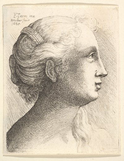 Leder for en ung kvinne i profil til høyre, 1645. av Wenceslaus Hollar