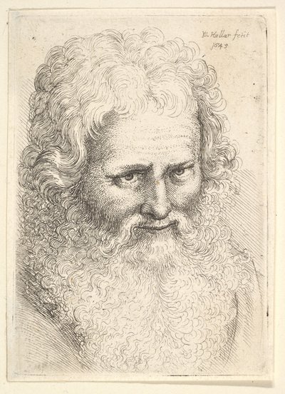 Hode av en gammel mann med stort skjegg av Wenceslaus Hollar
