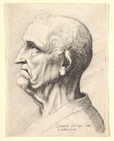Hodet til en gammel mann med krøllete hårtotter rundt øret i profil til venstre, 1644-52. av Wenceslaus Hollar