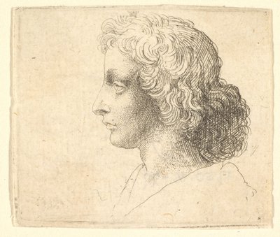 Hode av ung mann med langt hår i profil til venstre, 1644-52. av Wenceslaus Hollar