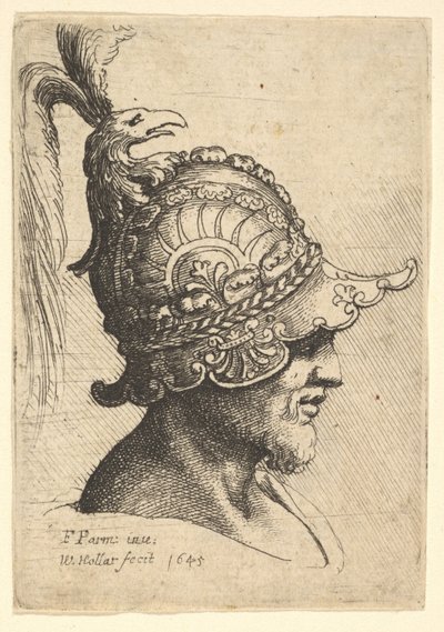 Hode med hjelm med fuglehode, 1645. av Wenceslaus Hollar
