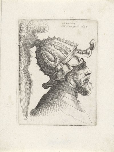 Hodet til en mann med hjelm Hoder med hjelmer til Parmigianino (serietittel) av Wenceslaus Hollar