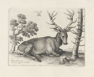 Tilbakelent hjort, til høyre av Wenceslaus Hollar
