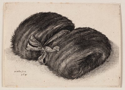 Mørk pelsmansjett med et sløyfebånd av Wenceslaus Hollar