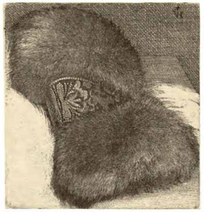 Muff med brokadebånd av Wenceslaus Hollar
