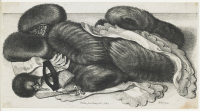 Muffer og klesplagg på et bord, 1647 av Wenceslaus Hollar