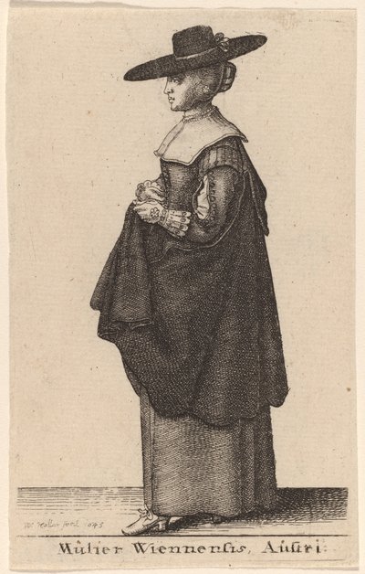 En kvinne fra Wien, Østerrike av Wenceslaus Hollar