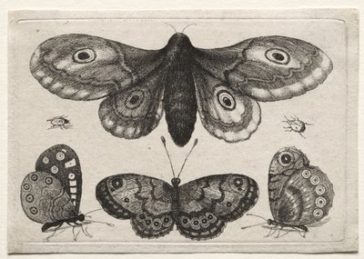  av Wenceslaus Hollar