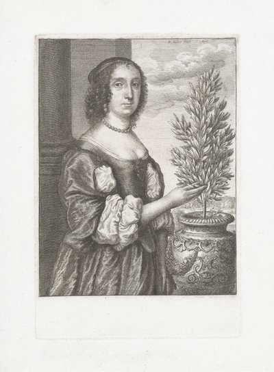 Portrett av en kvinne som står ved siden av en laurbærplante av Wenceslaus Hollar