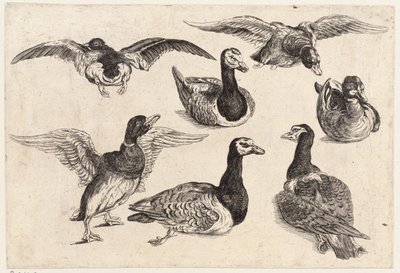 Sju ender av Wenceslaus Hollar