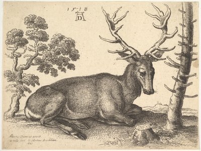 Hjort liggende til høyre, 1649. av Wenceslaus Hollar