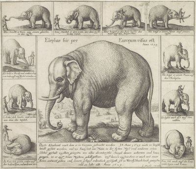 De lukter også En elefant ble sett her i Europa (tittel på objekt) av Wenceslaus Hollar