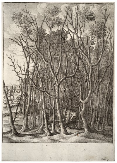 Reven og tornebusken. Tilstand 2 av Wenceslaus Hollar