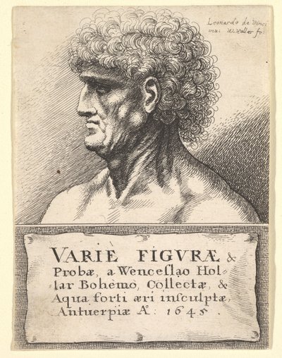 Tittelside til Variety of Figures & Probes, 1645 av Wenceslaus Hollar
