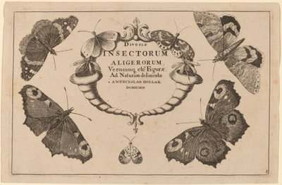 Tittelside av Wenceslaus Hollar