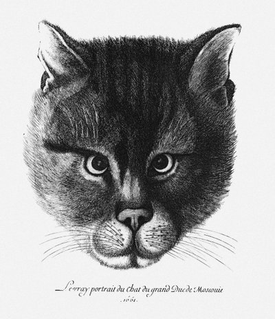 Sant bilde av katten til tsaren Alexis I Mikhailovich fra Russland av Wenceslaus Hollar