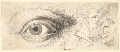 To øyne og to hoder, 1644-52. av Wenceslaus Hollar
