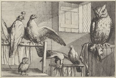 Falker og ugler i en låve Diversae avium arter (serietittel) Forskjellige fugler (serietittel) av Wenceslaus Hollar