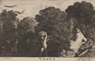 Venus. av Wenceslaus Hollar