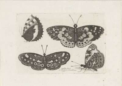 Vier vlinders Insekter (serietittel) Scarab Flies (serietittel) av Wenceslaus Hollar