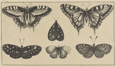 Five Butterflies and a Moth Various Insects (serietittel) Diversae Insectorum (serietittel) av Wenceslaus Hollar