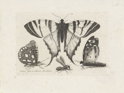 Sommerfugler og en veps Insekter (serietittel) Muscarum Scarabeorum (serietittel) av Wenceslaus Hollar