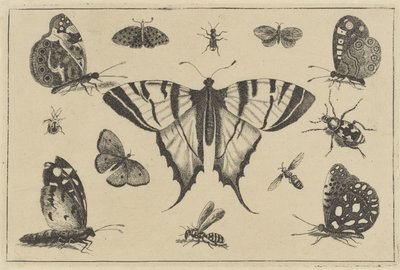 Sommerfugler, veps og andre insekter Diverse insekter (serietittel) Diversae Insectorum (serietittel) av Wenceslaus Hollar