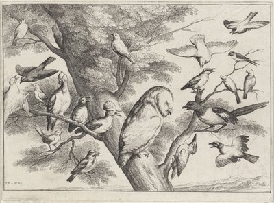 Fugler i et tre Forskjellige fugler (serietittel) av Wenceslaus Hollar