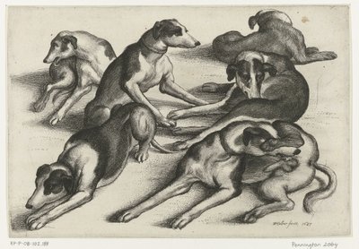 Seks liggende jakthunder Jakt, jakthunder og vilt (serietittel) av Wenceslaus Hollar