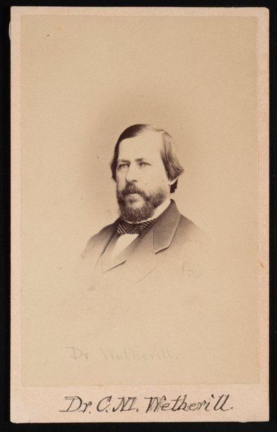 Portrett av Dr. Charles Mayer Wetherill 1825-1871, 1864. av Wenderoth and Taylor
