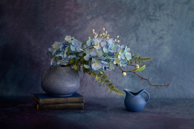  av Wendy Xu