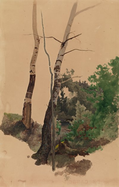  av Werner Holmberg