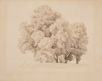  av Werner Holmberg