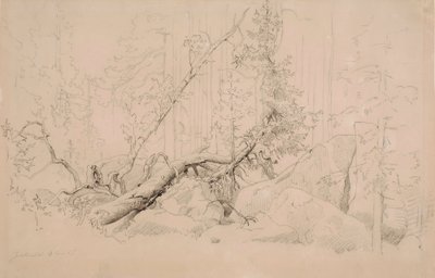  av Werner Holmberg