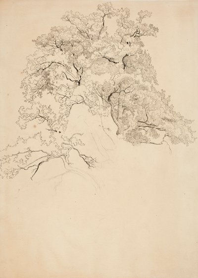  av Werner Holmberg