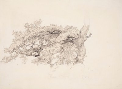  av Werner Holmberg