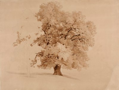  av Werner Holmberg