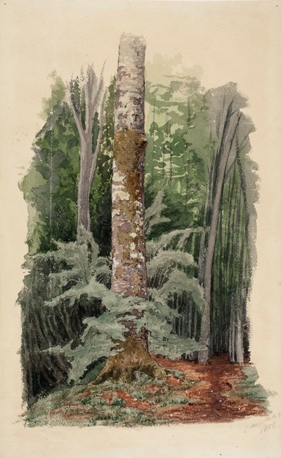  av Werner Holmberg