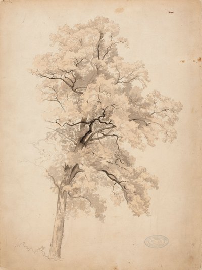  av Werner Holmberg