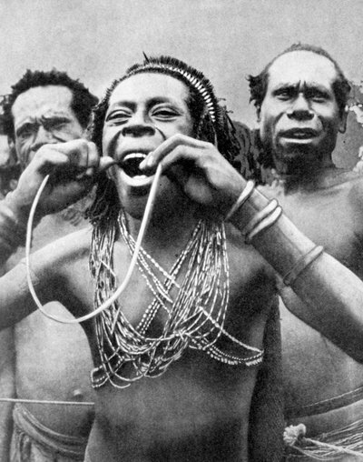 Svelging av stokk i et seremonielt ritual, New Guinea, 1936. av Wide World Photos