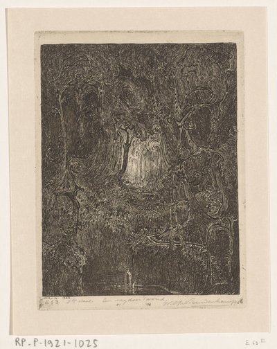 Jungel i Java En vei gjennom skogen (original tittel) av Wijnand Otto Jan Nieuwenkamp (signed by artist)
