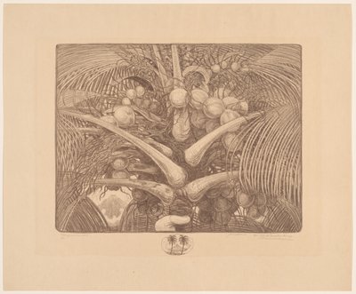 Toppen av en kokospalme Tropenweelde (originaltittel på objektet) av Wijnand Otto Jan Nieuwenkamp (signed by artist)