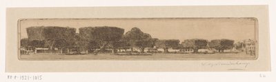 Waringin-trær i hagen til sultanens palass i Jogyakarta Square i Jogjakarta (original tittel) av Wijnand Otto Jan Nieuwenkamp (signed by artist)