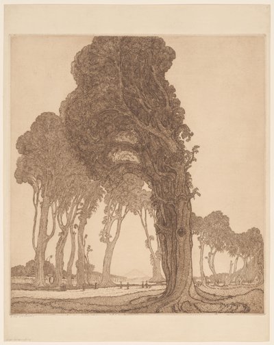 En del av hovedveien ved dessa Cakranegara (Tjakranegara) på Lombok The Great Road (original tittel) av Wijnand Otto Jan Nieuwenkamp