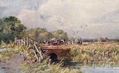  av Wilfrid Williams Ball