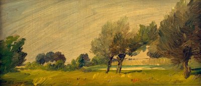Grønt sommerlandskap - beitemark ved dammen av Wilhelm Busch