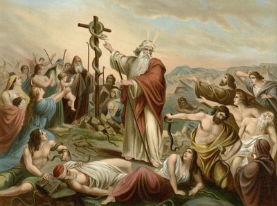 Forhøyning av den frekke slangen (farge litho) av Wilhelm Ebbinghaus
