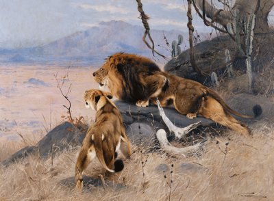 Løve og Løvinne; Lowe og Lowin, av Wilhelm Kuhnert