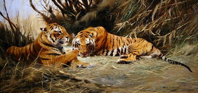 Sibirske tigre av Wilhelm Kuhnert